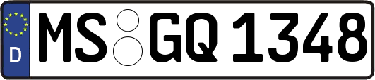 MS-GQ1348