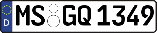 MS-GQ1349