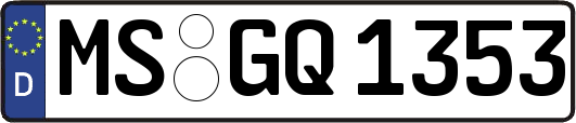 MS-GQ1353