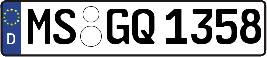 MS-GQ1358