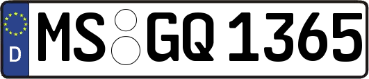 MS-GQ1365