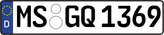 MS-GQ1369