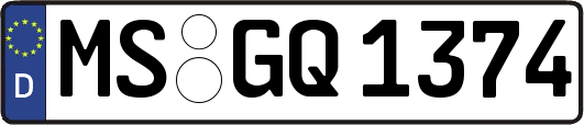 MS-GQ1374