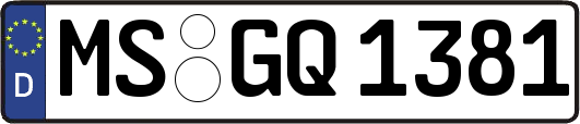 MS-GQ1381