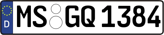 MS-GQ1384