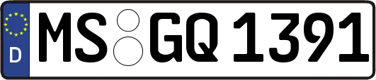 MS-GQ1391