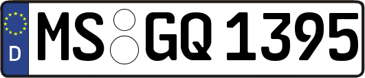 MS-GQ1395