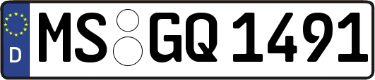 MS-GQ1491