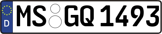 MS-GQ1493