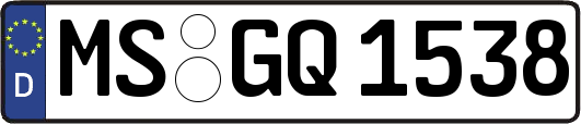 MS-GQ1538