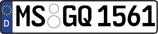 MS-GQ1561