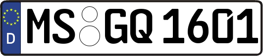 MS-GQ1601