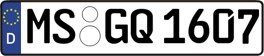 MS-GQ1607