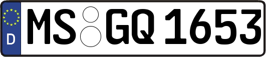 MS-GQ1653