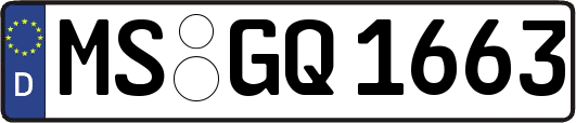 MS-GQ1663