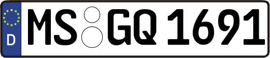 MS-GQ1691