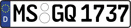 MS-GQ1737