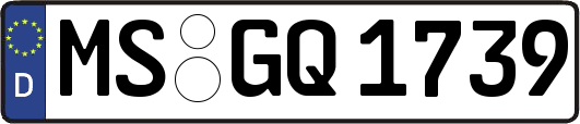 MS-GQ1739