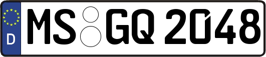 MS-GQ2048