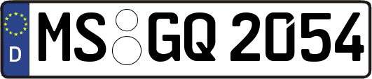 MS-GQ2054