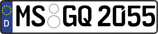 MS-GQ2055