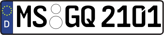 MS-GQ2101