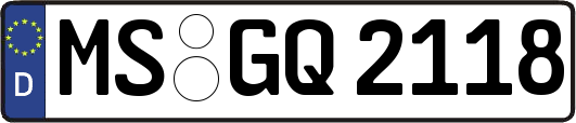 MS-GQ2118