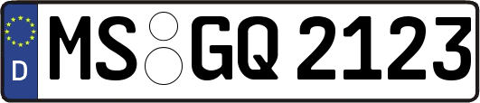 MS-GQ2123