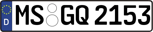MS-GQ2153