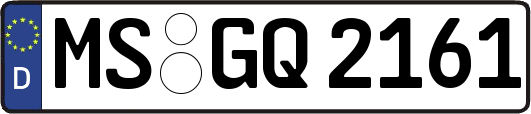 MS-GQ2161