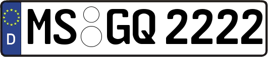 MS-GQ2222