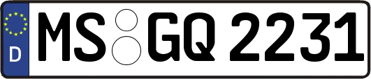 MS-GQ2231