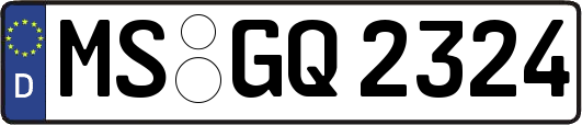 MS-GQ2324