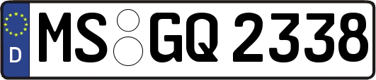 MS-GQ2338