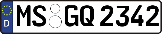 MS-GQ2342