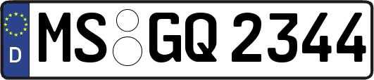 MS-GQ2344