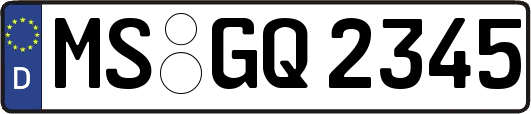 MS-GQ2345