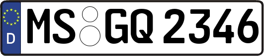 MS-GQ2346