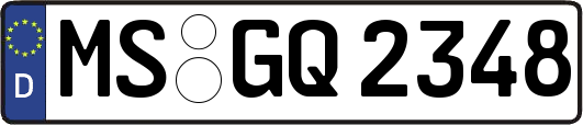 MS-GQ2348
