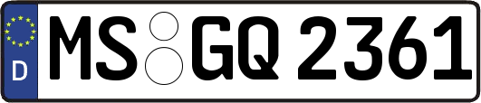 MS-GQ2361