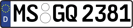 MS-GQ2381