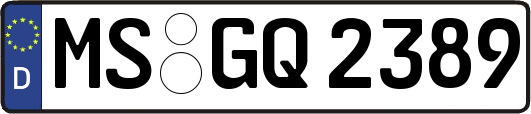 MS-GQ2389