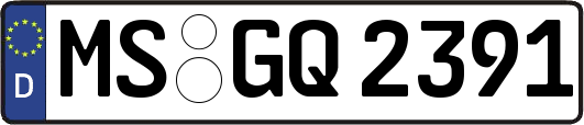 MS-GQ2391