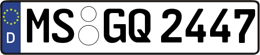 MS-GQ2447