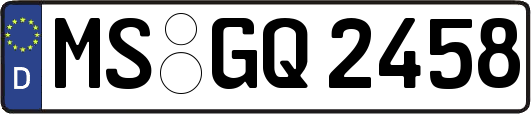 MS-GQ2458