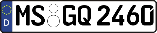 MS-GQ2460