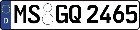 MS-GQ2465