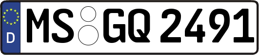 MS-GQ2491