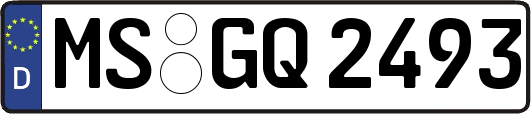 MS-GQ2493