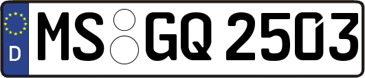 MS-GQ2503